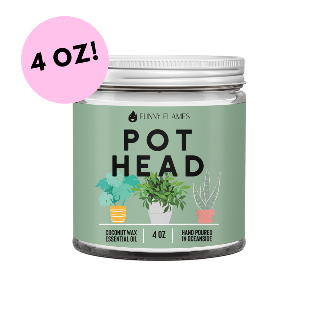 Pot Head - WORLD PRODUCTS SHOP
