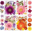 Resiners® 100 pezzi di fiori secchi pressati