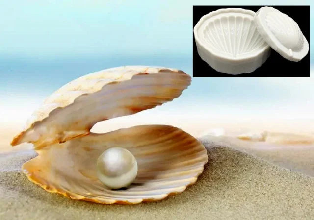Ostrica da Perla. Conchiglia di mare in alta definizione. Doppio Stampo in silicone