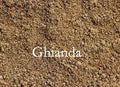 Ghianda. Colorante concentrato Lipo in polvere