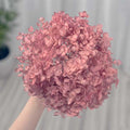 ORTENSIA STABILIZZATA ROSA ANTICO