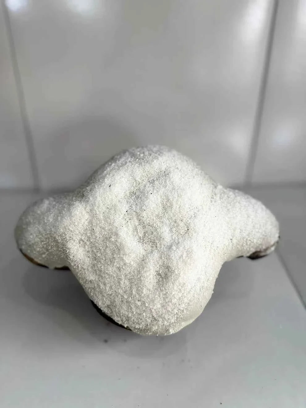 Colomba gusto cocco da 1,6kg
