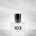 103 - Fragranza per candele