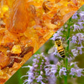 Ambra patchouli - Fragranza per candele
