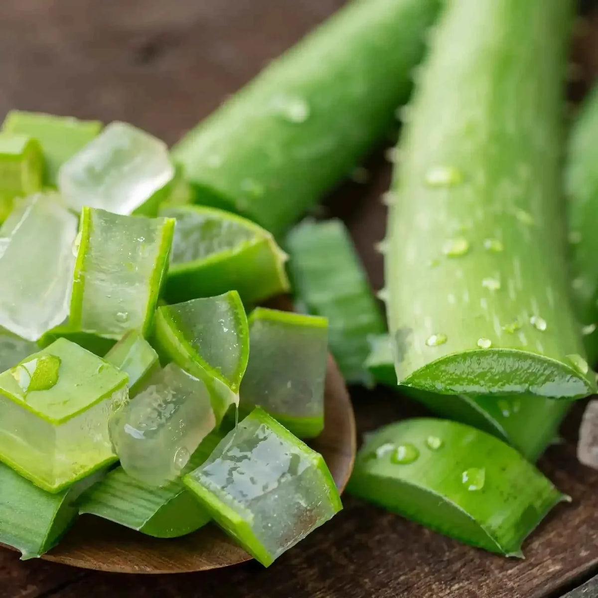 Aloe vera - Fragranza per candele