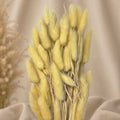 LAGURUS TOPINO 100 GR. GIALLO CHIARO STABILIZZATO
