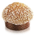 PANRICCONE VENEZIANO  1 KG.