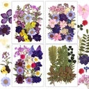 Resiners® 100 pezzi di fiori secchi pressati