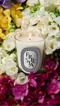 Fresia - Fragranza Per Candele
