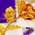 24 Carati Rosa D'oro in elegante scatola regalo