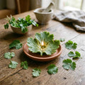 Coriandolo. Fragranza Per Candele