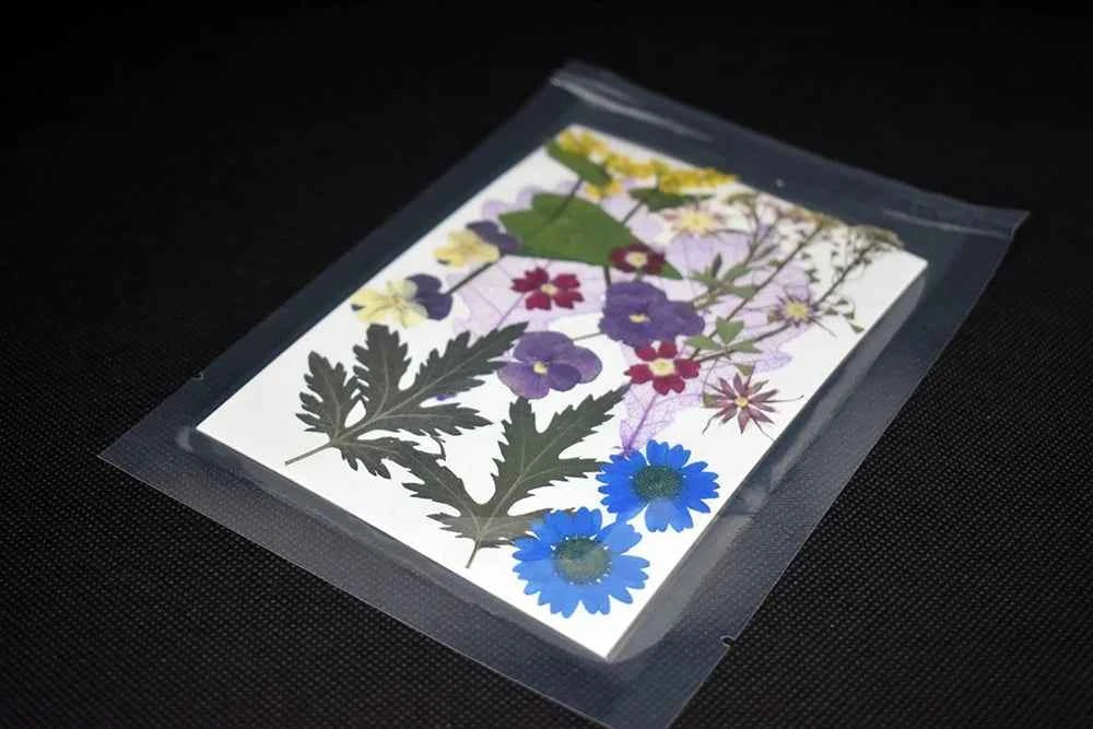 Fiori multicolor pressati per gioielli e decorazioni per la resina