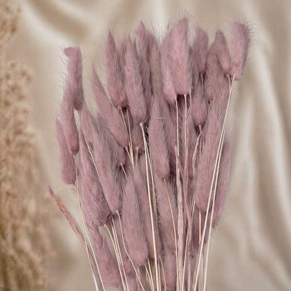 LUPUS TOPINO 100 GR.ROSA ANTICO STABILIZZATO
