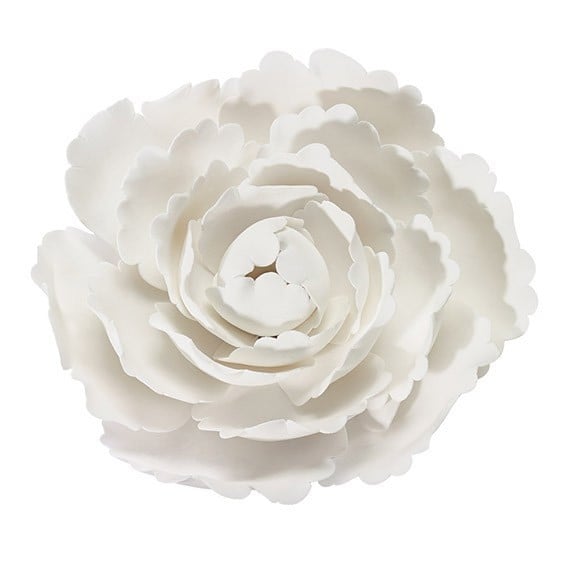 Gum Paste Bianca 300 gr. per Fiori. Decorina Vip