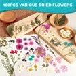 Resiners® 100 pezzi di fiori secchi pressati