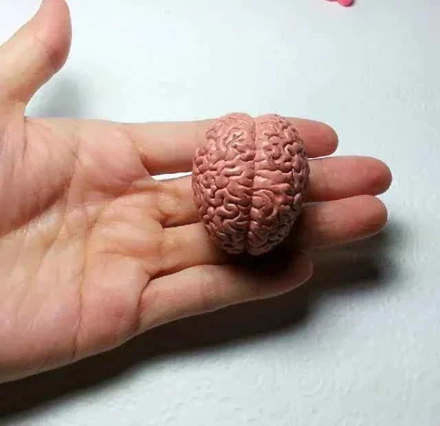 Cervello. Spettacolare stampo in silicone