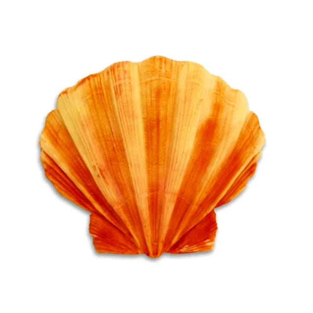 Grande Ostrica di 10 cm. Stampo mare di una grande Conchiglia in silicone
