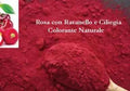 Rosa con Ravanello e Ciliegia. Colorante Naturale Pink. 100% Vegano. 140 gr.