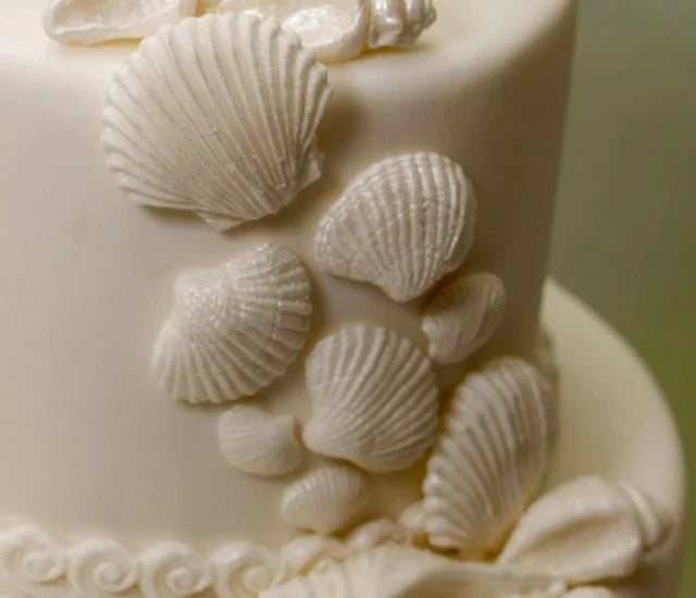 10 Conchiglie di Mare. Stampo in Silicone