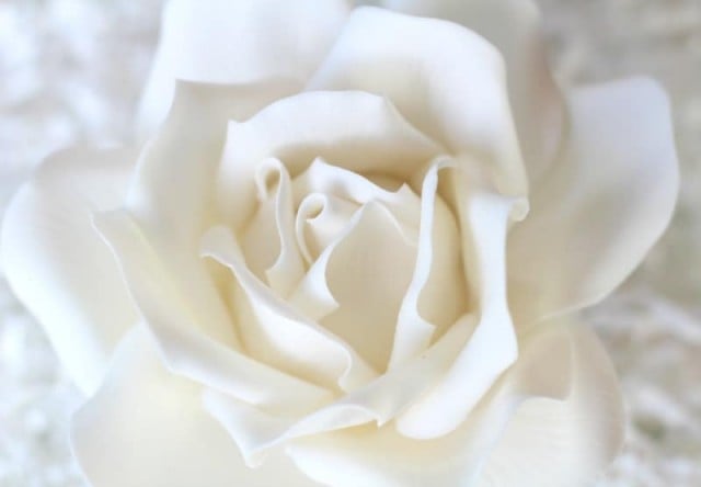 Gum Paste Bianca 300 gr. per Fiori. Decorina Vip